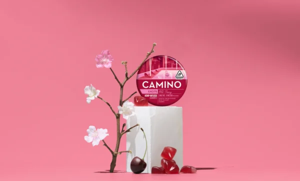 Camino Wild Cherry 'Excite' 5mg Gummies - Image 3