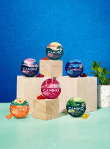 Camino Sweet Spot Sampler Mini Tin 6 Pack