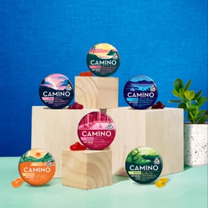 Camino Sweet Spot Sampler Mini Tin 6 Pack